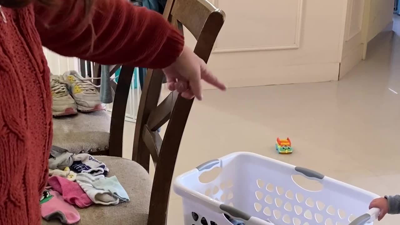 Working Dog Is Just Happy To Help With Laundry
