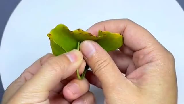 Make a funny toy 08