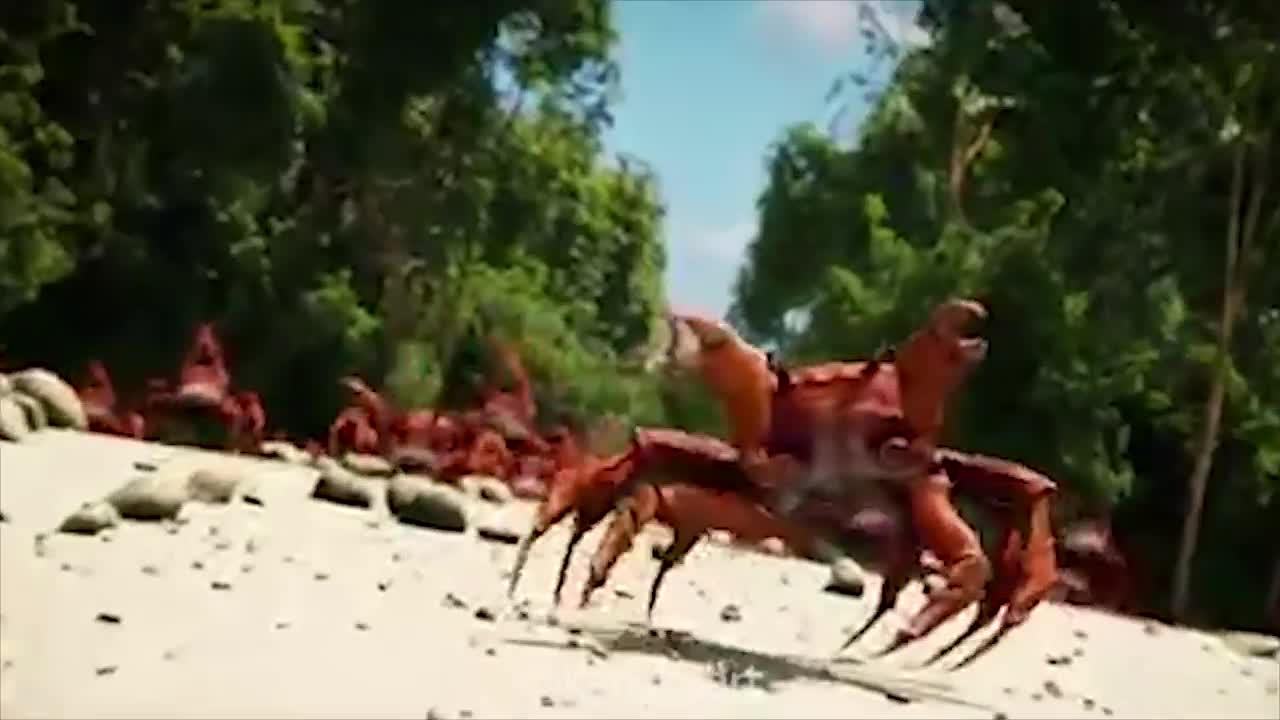 Eminem - Crab God