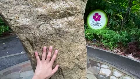 a garden in singapore