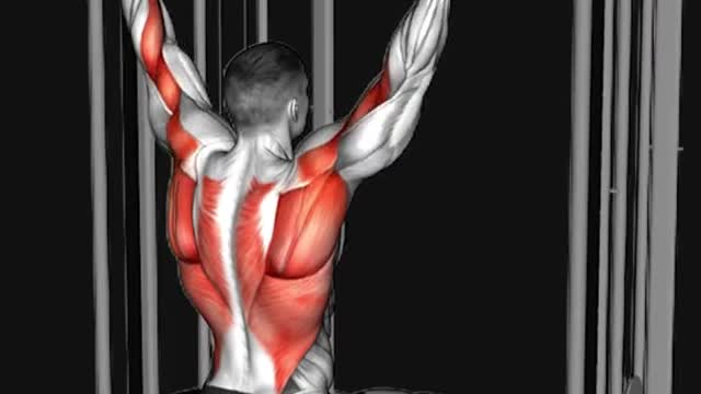 ZYZThursdayShoulders/Triceps