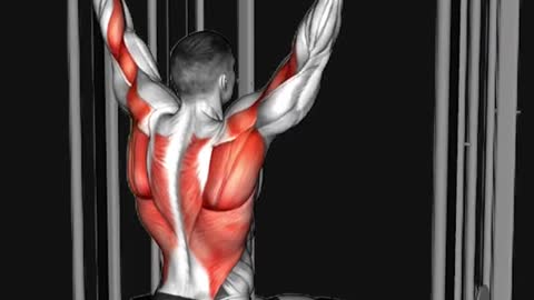 ZYZThursdayShoulders/Triceps