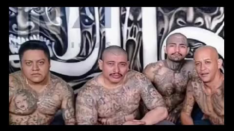 Leaked document from Army advisory warns of illegal immigrant gang violence