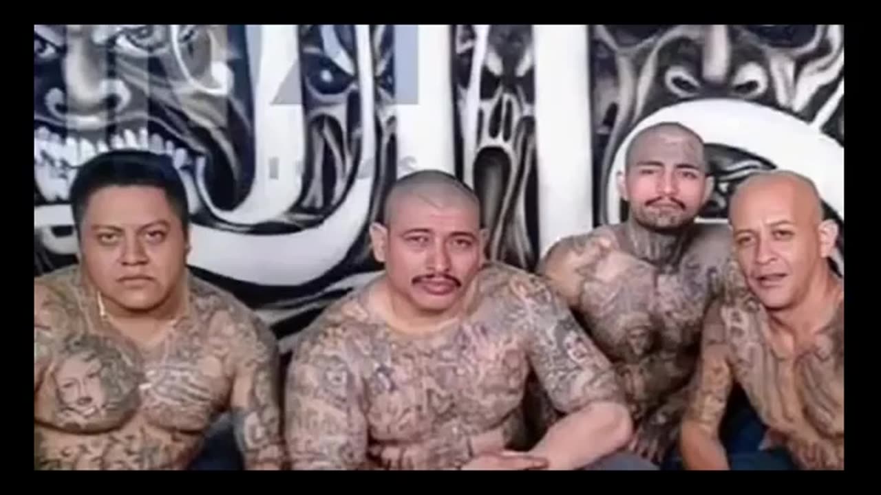 Leaked document from Army advisory warns of illegal immigrant gang violence