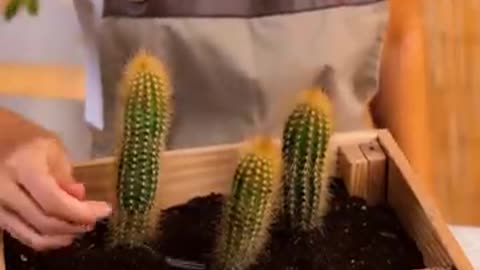 Fantastic Planting u0026 Gardening Hacks That Will Save You A lot of Time 🌱