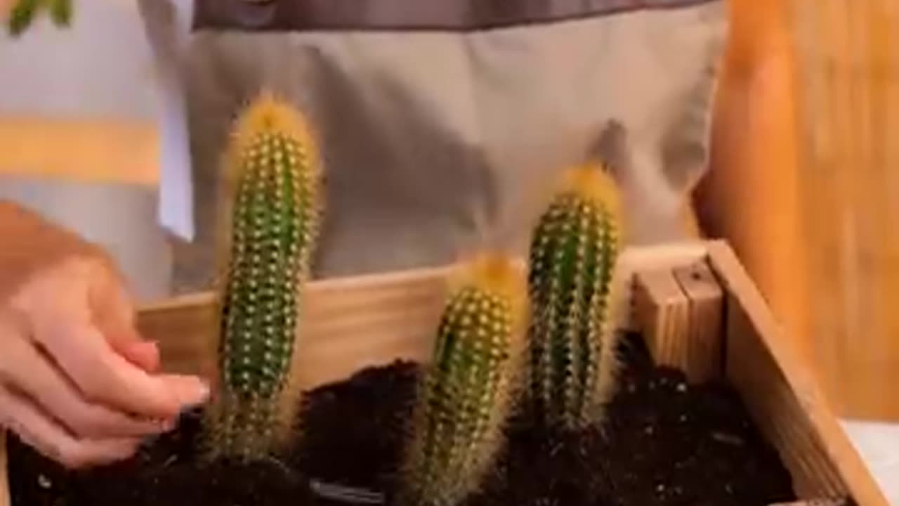 Fantastic Planting u0026 Gardening Hacks That Will Save You A lot of Time 🌱