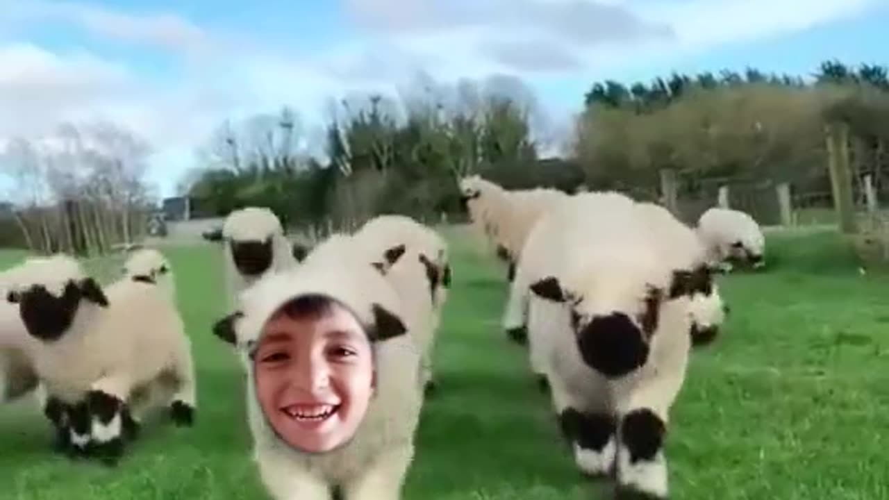 Cute 🥰🥰