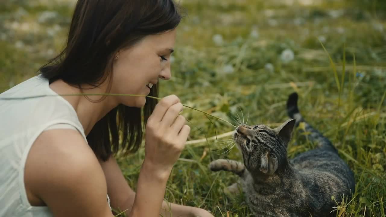 Young woman playing with a kitten in the grass