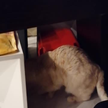 Dimi BÄÄm Ba Bäääm