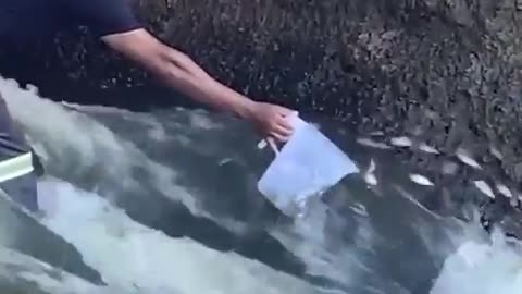 News Break: Fishing