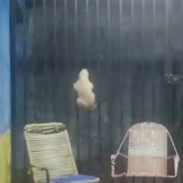 I have seen this scene in a movie 😂😂