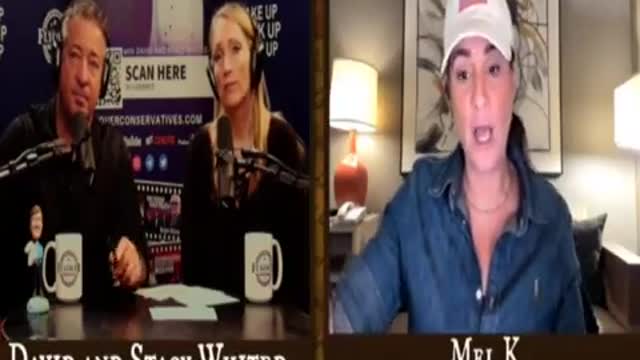 Mel K - FlyOver Conservatives Dig - The Think Tanks That Controls America