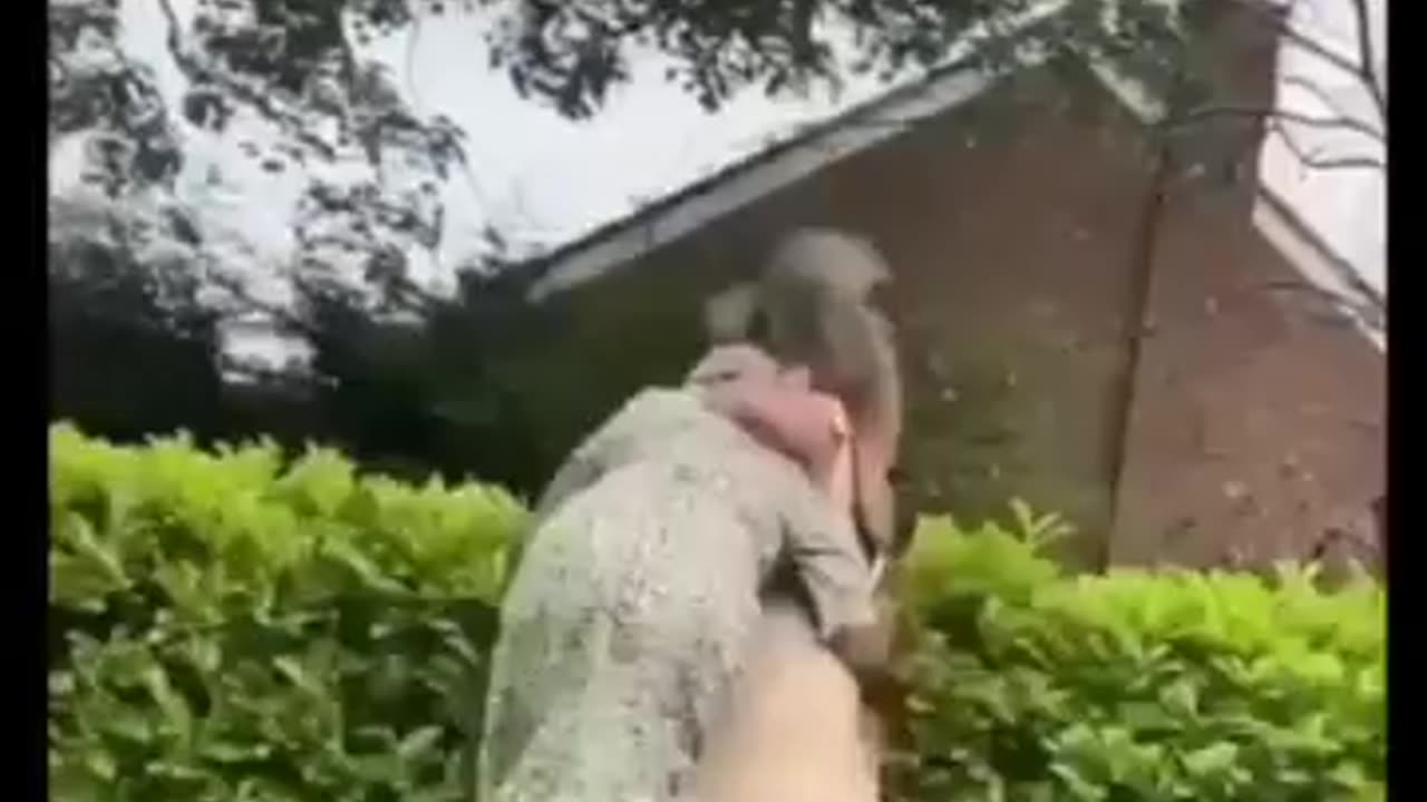 Funny vedeos