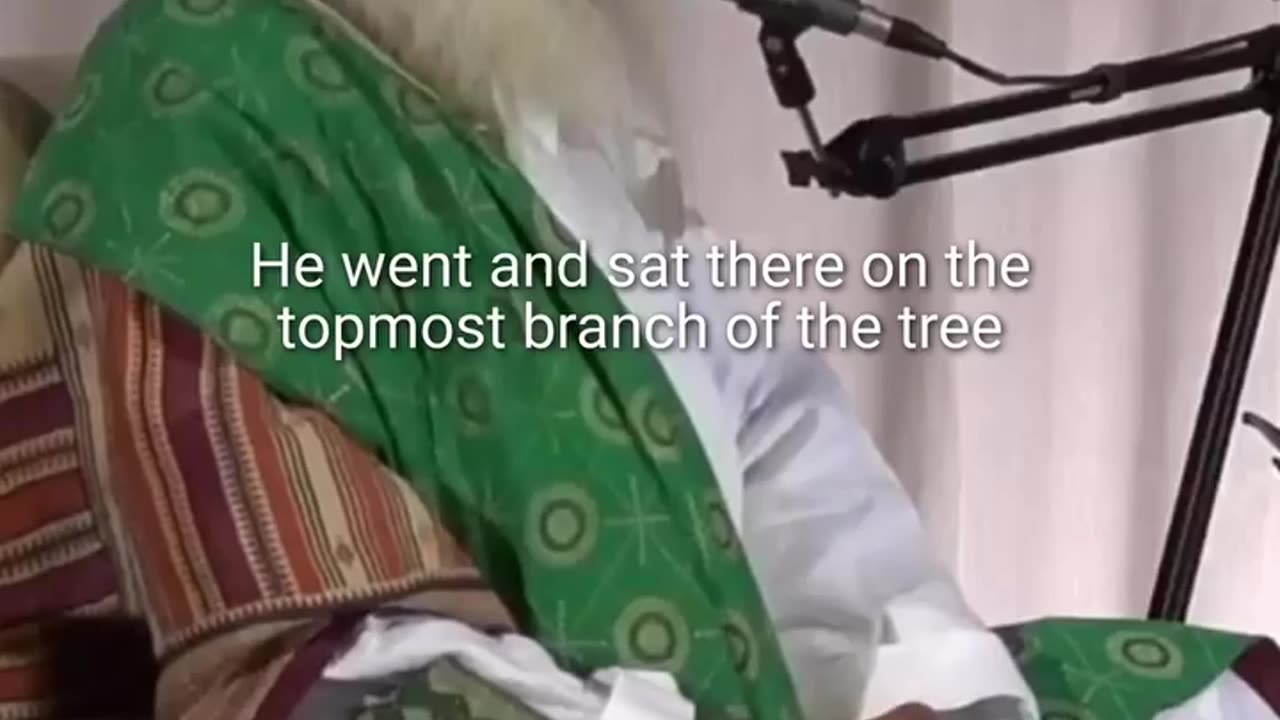 The Pheasant BS... * 1min.*
