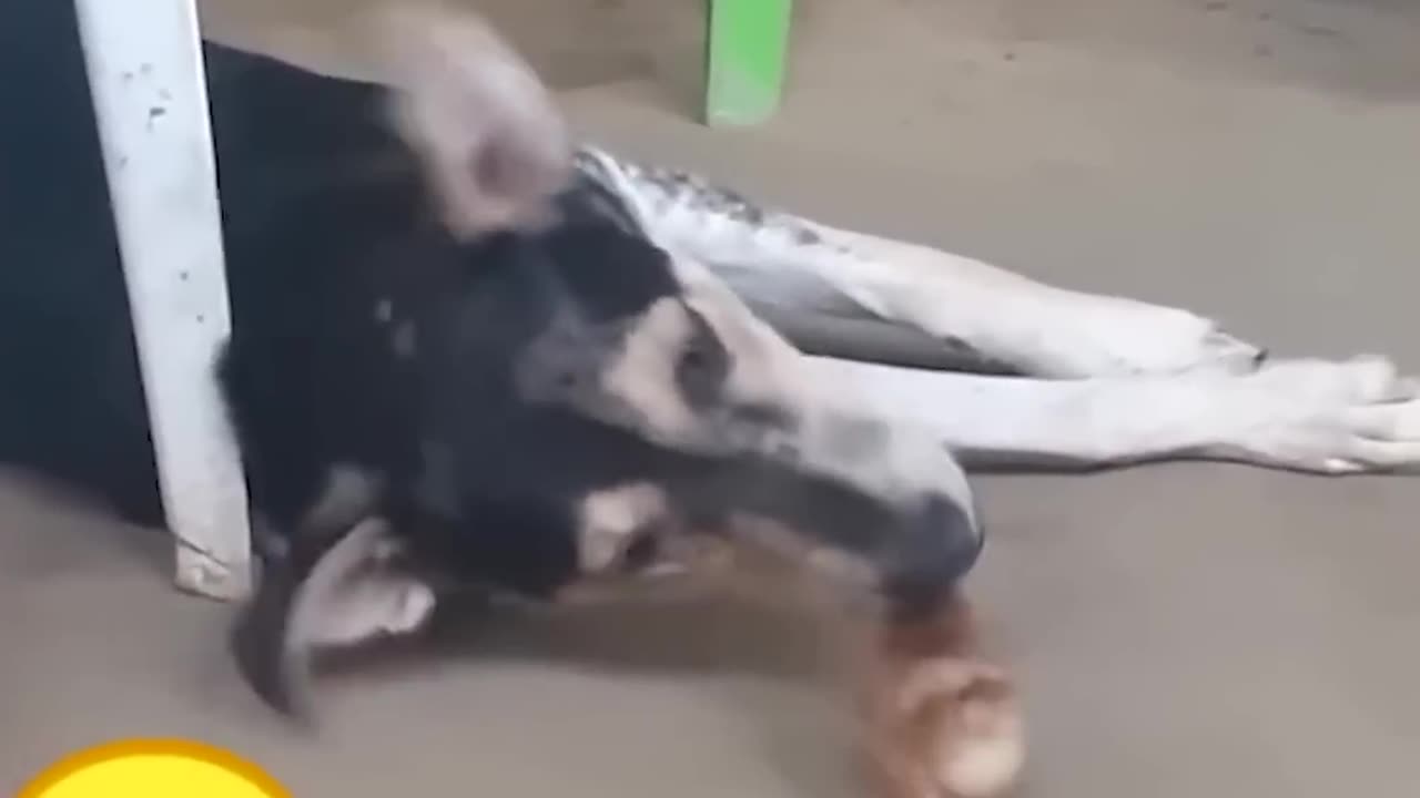 🤣🤣🤣😂😂