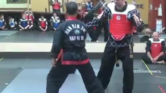 Hanminjok Hapkido