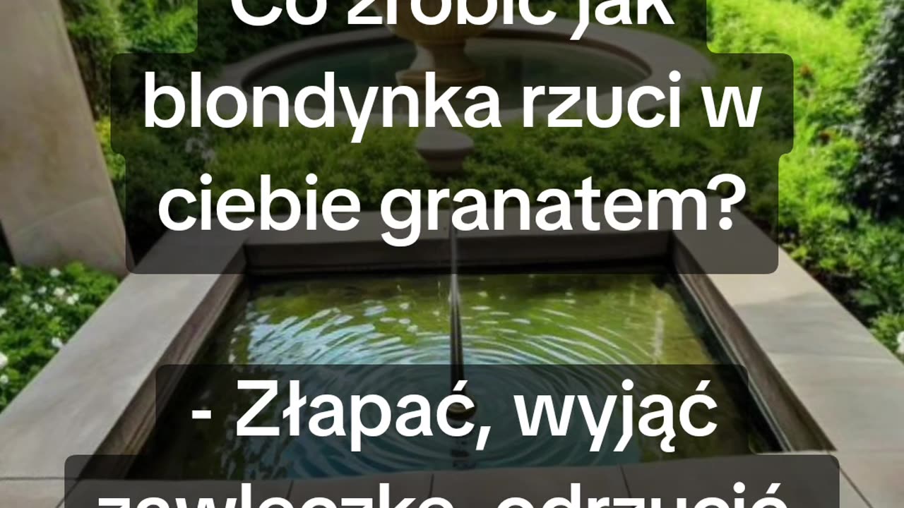 Porada (nie)życiowa