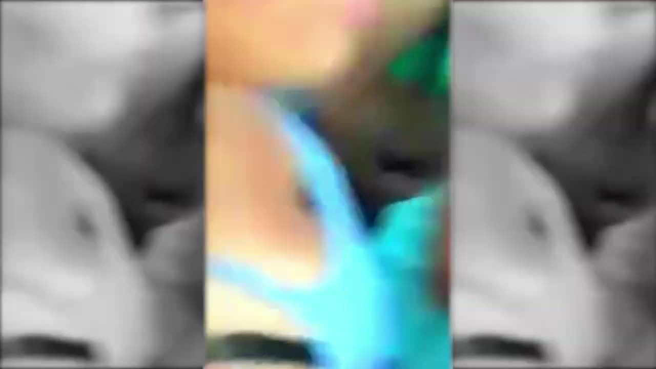 Shie Labeouf Freestyle REMIX - The Remix Bros