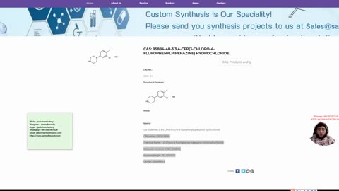 AB481753 AB-481753 1-(3-Chloro-4-fluorophenyl-piperazine hydrochloride CAS: 95884-48-3