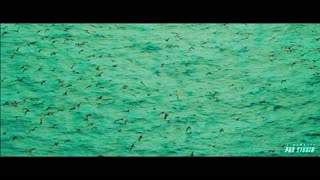 Moana live action - Teaser trailer