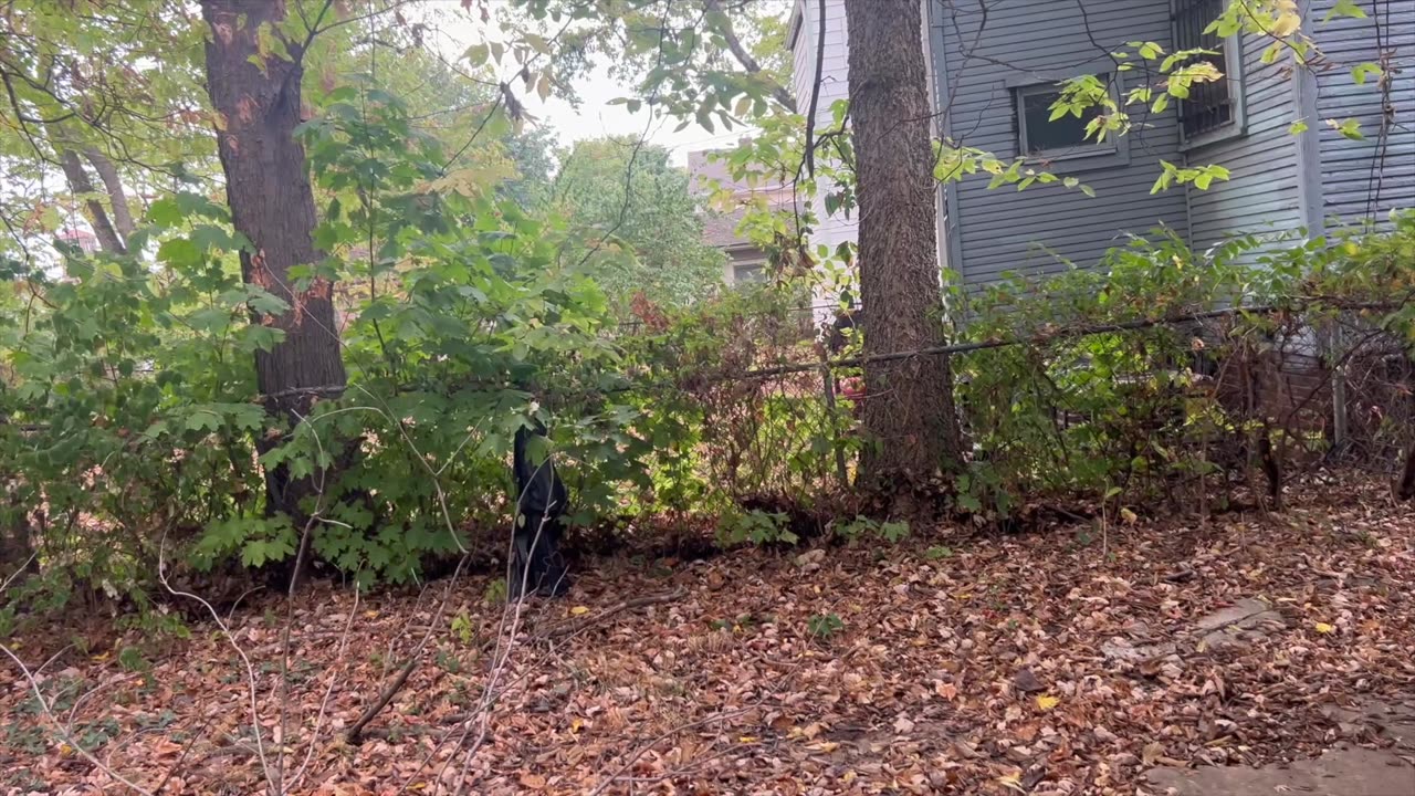 Real Estate Property Walk Through 1811 E Rich St | Invest With Festus
