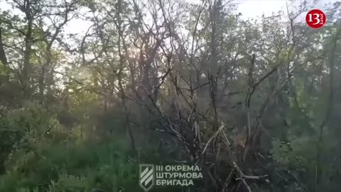 Ukrainian forces advance by 500m-1km on Berdiansk front