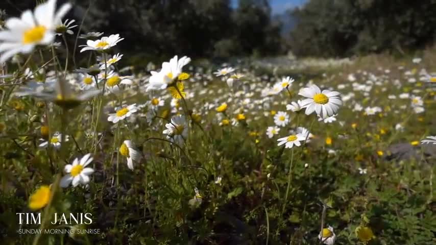 Christian Healing Worship Peaceful Scenery