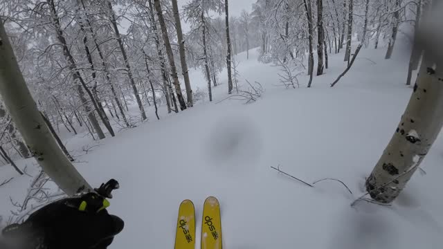 down side of filming while its snowing the camera lens gets fuzzy