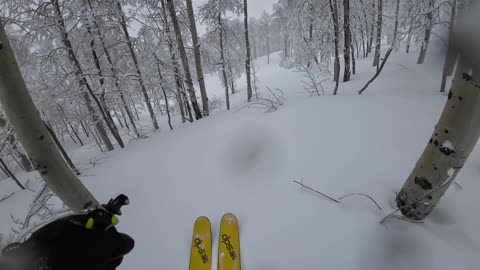 down side of filming while its snowing the camera lens gets fuzzy