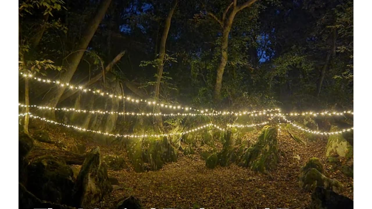 The Enchanted Forest at Timber Valley Retreat Clear Spring Maryland