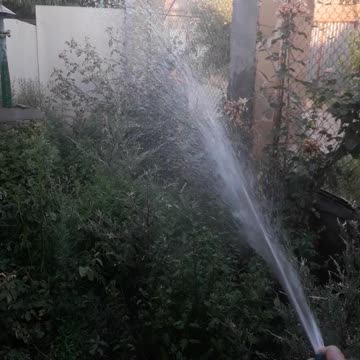 Watering the garden