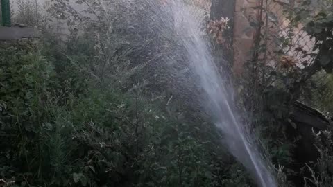 Watering the garden