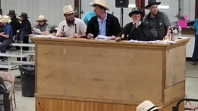 11 yr old auctioneers at Middlefield Ohio standardbred driving horse sale. May 28 2022