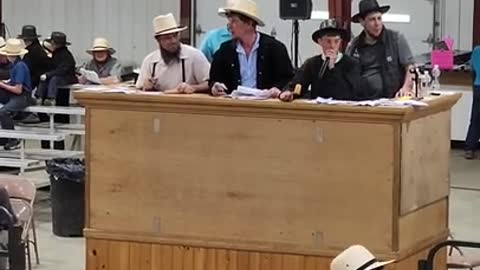 11 yr old auctioneers at Middlefield Ohio standardbred driving horse sale. May 28 2022