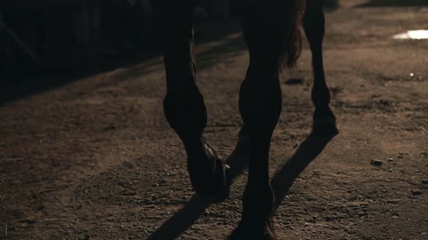 Two girls with a horse at sunset