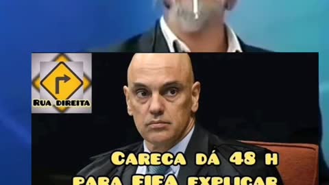 Cabeça de ovo