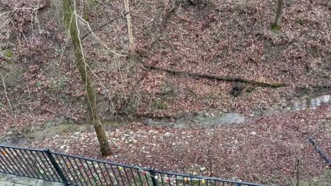April 5, 2023 - The Creek Behind My House After a Day of Heavy Rain