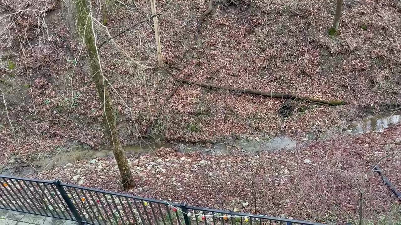 April 5, 2023 - The Creek Behind My House After a Day of Heavy Rain