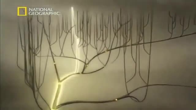 DNA Mysteries - The search for Adam and Eve (History National Geographic Documentary)