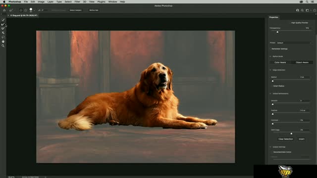 Selecting soft edge objects with Select and Mask