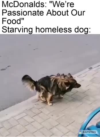 Dogs refuse McDonald’s burgers I wonder why🤮😳🤷🏻‍♂️🥵🤬😆
