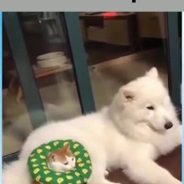 I'll bite anyway and the lifebuoy won't help