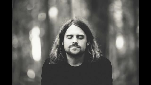 Les oiseaux du matin