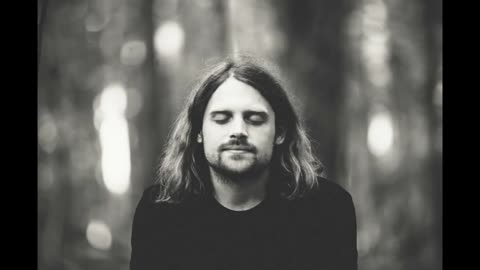 Les oiseaux du matin