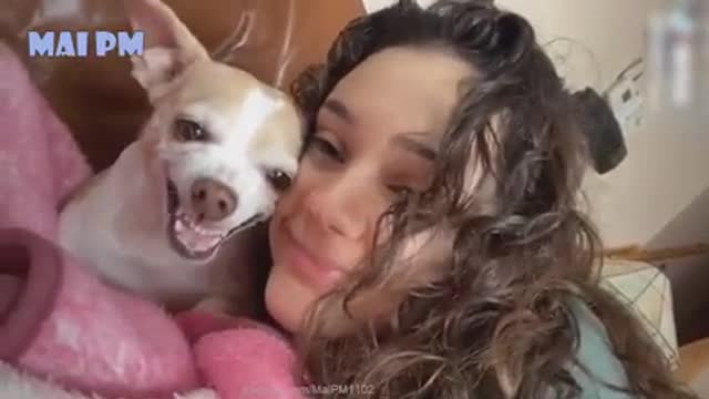 Funny Dog Videos 🤣 🐶 It's time to LAUGH with Dog's life