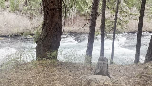 Campsite #5 – 2nd BEST Drive-In Site – Candle Creek Campground – Metolius River – 4K