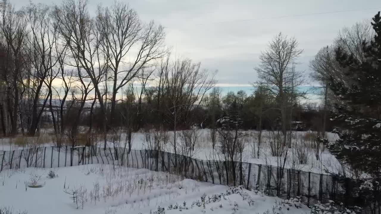 Looking at the Potted Tree Field - Still learning the Drone!