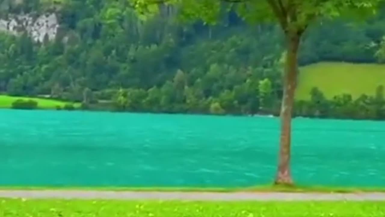 Quran
