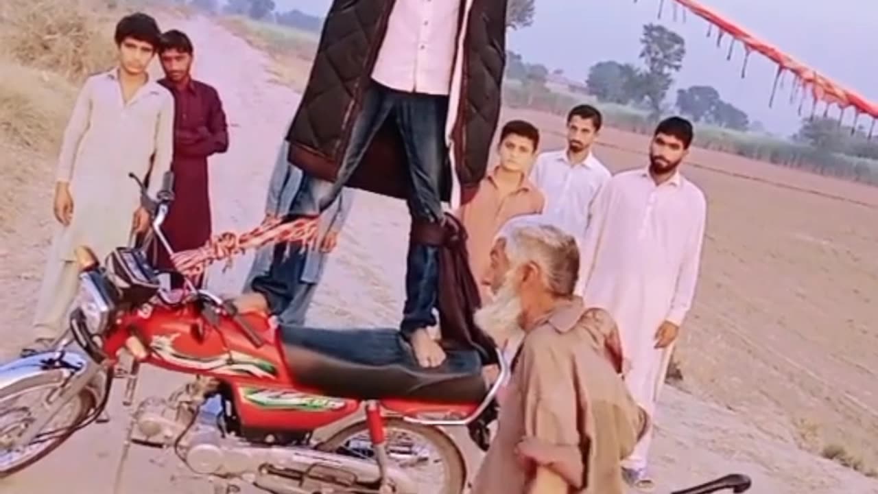 Funny videos