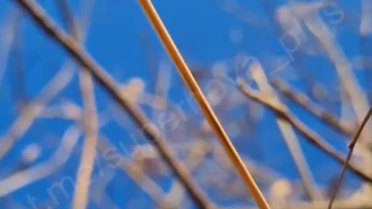 The sound of an FPV drone attack from a captured Russian's phone